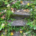 IMG-20241006-WA0025