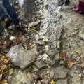 IMG-20241006-WA0031