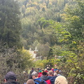IMG-20241006-WA0035