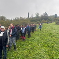 IMG-20241006-WA0036