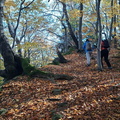 IMG-20241027-WA0021