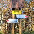 IMG-20241027-WA0044