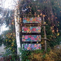 IMG-20241025-WA0009