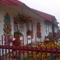 IMG-20241025-WA0020