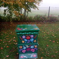 IMG-20241025-WA0026