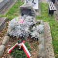IMG-20241029-WA0008