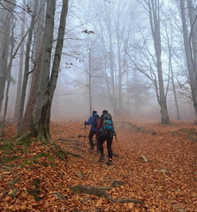 IMG-20241110-WA0000