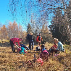 IMG-20241110-WA0005