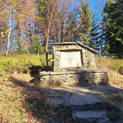 IMG-20241110-WA0004