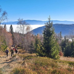 IMG-20241110-WA0008