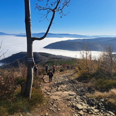 IMG-20241110-WA0011