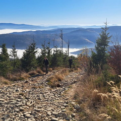 IMG-20241110-WA0010