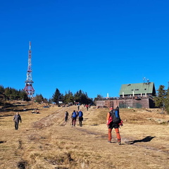 IMG-20241110-WA0016