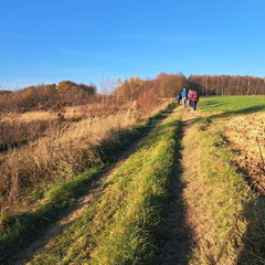 IMG-20241117-WA0016