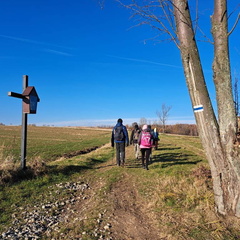 IMG-20241117-WA0027
