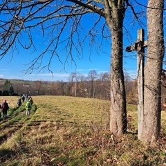 IMG-20241117-WA0037