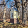 IMG-20241117-WA0039