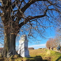 IMG-20241117-WA0041