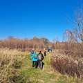IMG-20241117-WA0038