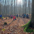 IMG-20241117-WA0043