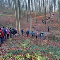 IMG-20241117-WA0049