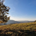 IMG-20241117-WA0063