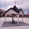 IMG-20241121-WA0041
