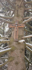 IMG-20241124-WA0025