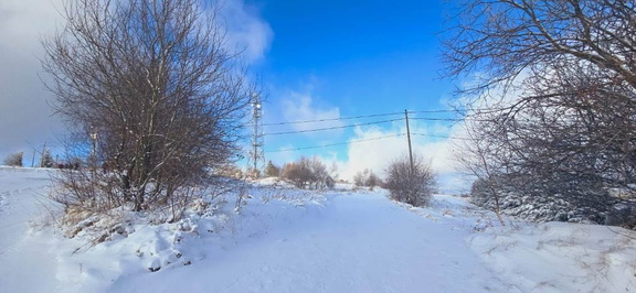 IMG-20241124-WA0028