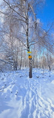 IMG-20241124-WA0035