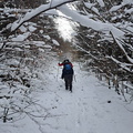 IMG-20241123-WA0004