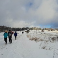IMG-20241123-WA0010