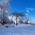IMG-20241123-WA0012