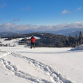 IMG-20241123-WA0017