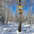 IMG-20241123-WA0015