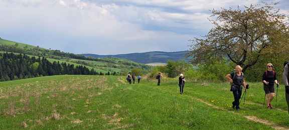 IMG-20250503-WA0018