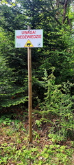 IMG-20250503-WA0019