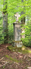 IMG-20250503-WA0021