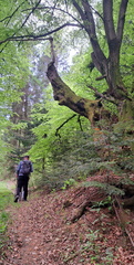 IMG-20250503-WA0022