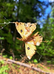 IMG-20250503-WA0023