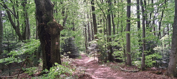 IMG-20250503-WA0027
