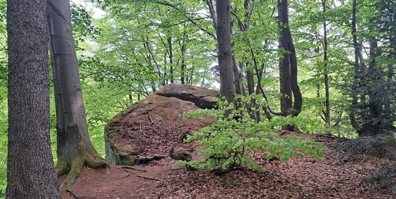 IMG-20250503-WA0028