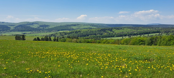 IMG-20250503-WA0032