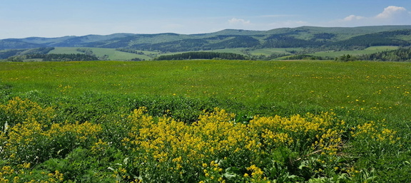 IMG-20250503-WA0033