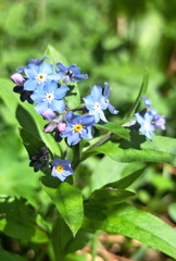 IMG-20250426-WA0008