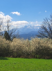 IMG-20250426-WA0011