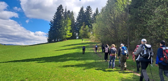 IMG-20250426-WA0013