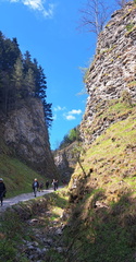 IMG-20250426-WA0016