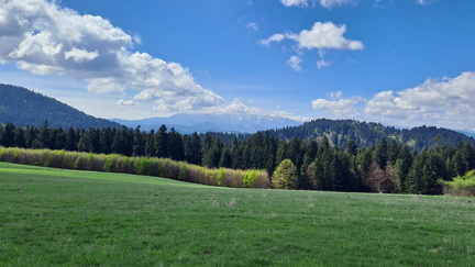 IMG-20250426-WA0022