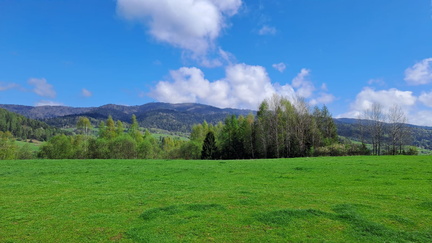 IMG-20250426-WA0021